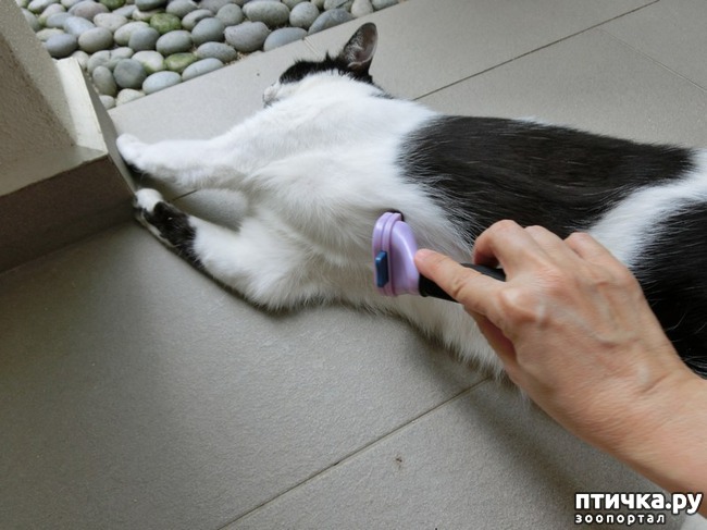 ���� 1: ��� ����� ���������� ��� ����� � ��� ��������� ������������ ����������