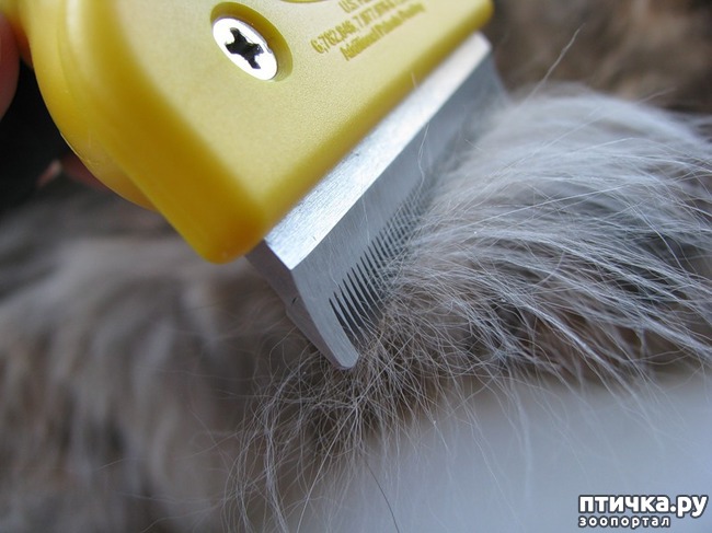 ���� 2: ��� ����� ���������� ��� ����� � ��� ��������� ������������ ����������