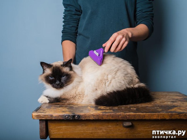 ���� 4: ��� ����� ���������� ��� ����� � ��� ��������� ������������ ����������