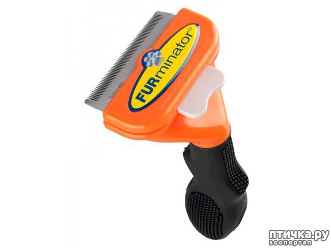 ���� 3: ��� ����� ���������� ��� ����� � ��� ��������� ������������ ����������