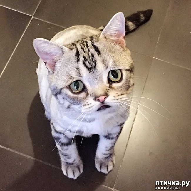 ���� 2: ����: ����� �������� ����� �� �����