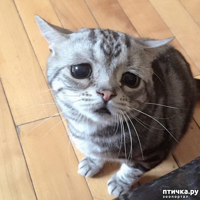 ���� 3: ����: ����� �������� ����� �� �����