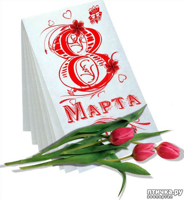 ���� 1: � ����������, ������� �������!!!