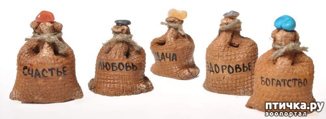 ���� 6: � ����������, ������� �������!!!