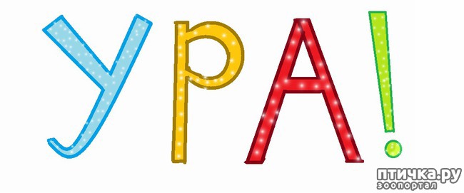 ���� 12: � ����������, ������� �������!!!