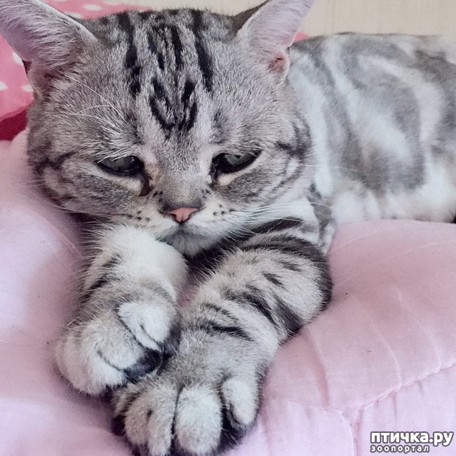 ���� 5: ����: ����� �������� ����� �� �����