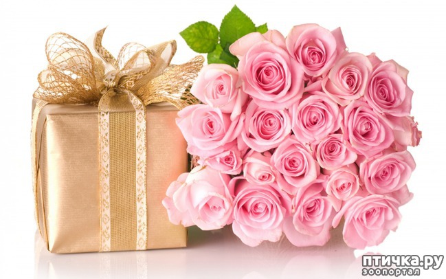 ���� 17: � ����������, ������� �������!!!