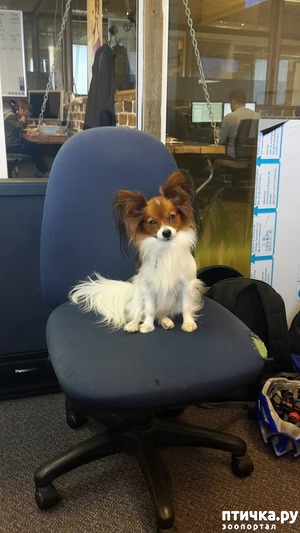 фотография: Мы катаемся на работу фото: Мы катаемся на работу