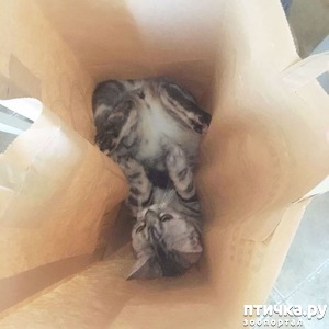 ����: � ��� ����� ����