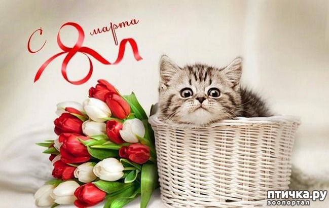 ���� 19: � ����� ����, �������!!!