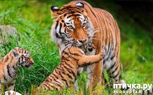 ����: �� ������... ��������� �����