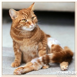 ����: ��������, �� ���..