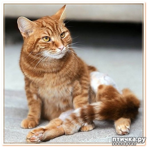 ���� 1: ��������, �� ���..