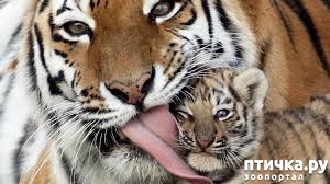 ���� 2: �� ������... ��������� �����