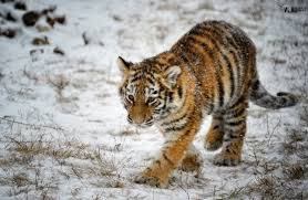 ���� 3: �� ������... ��������� �����