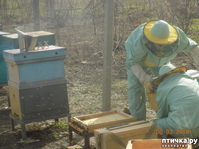 ���� 13: ��� � �������� �� �������...