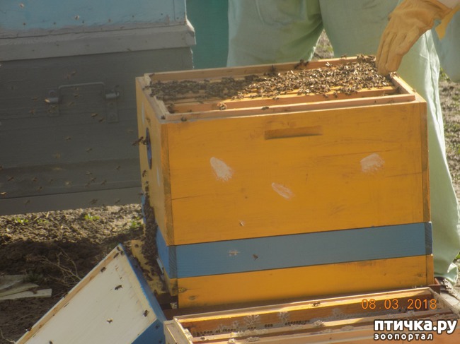 ���� 14: ��� � �������� �� �������...