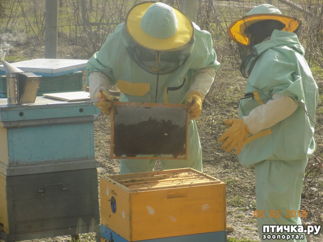 ���� 15: ��� � �������� �� �������...