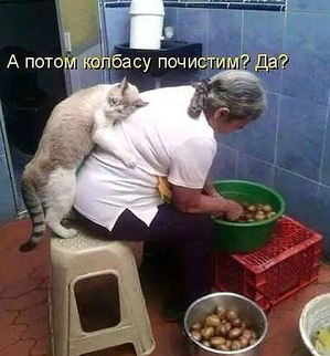 ����: ��������