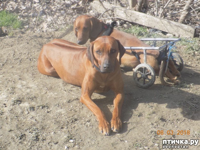 ���� 19: ��� � �������� �� �������...