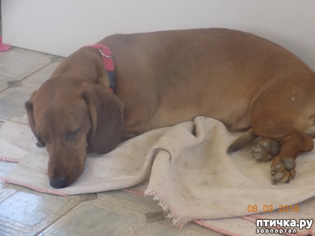 ���� 21: ��� � �������� �� �������...