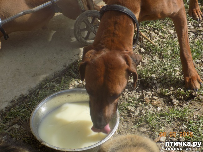 ���� 23: ��� � �������� �� �������...