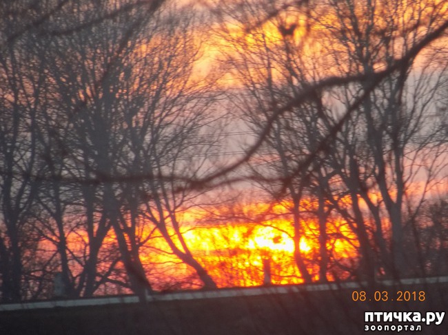 ���� 27: ��� � �������� �� �������...