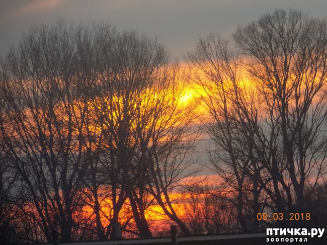 ���� 28: ��� � �������� �� �������...