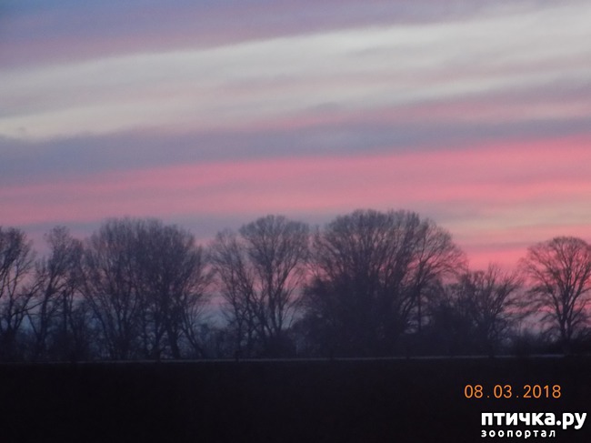 ���� 29: ��� � �������� �� �������...