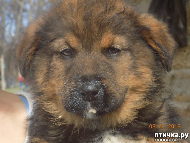 ���� 1: ��� � �������� �� �������...