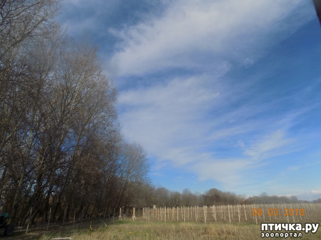 ���� 5: ��� � �������� �� �������...