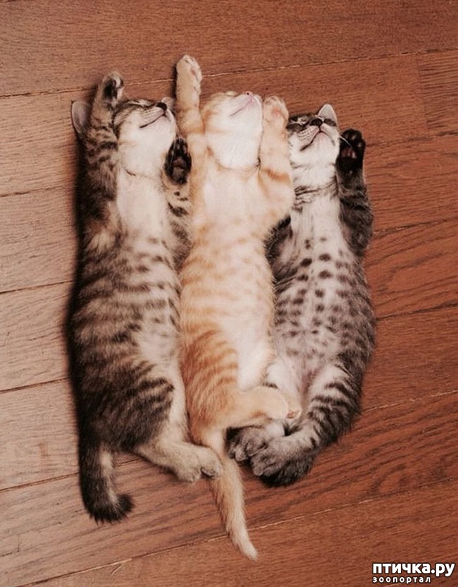  11:  .