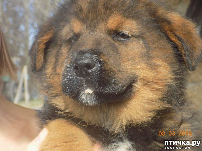 ���� 2: ��� � �������� �� �������...