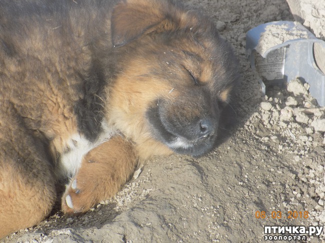 ���� 3: ��� � �������� �� �������...