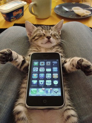 ����: ������ ������.