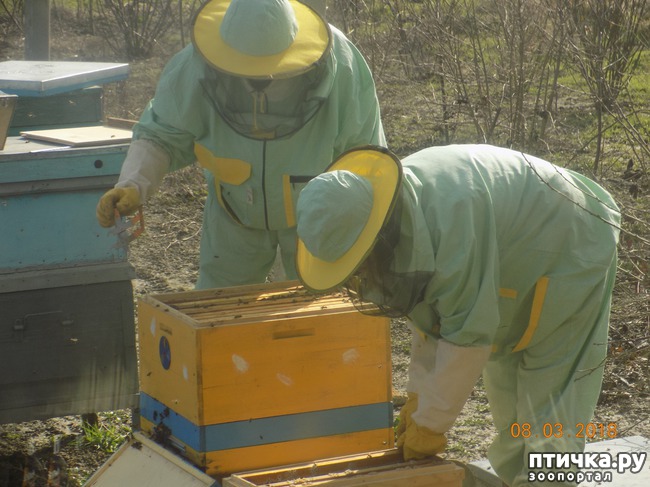 ���� 7: ��� � �������� �� �������...