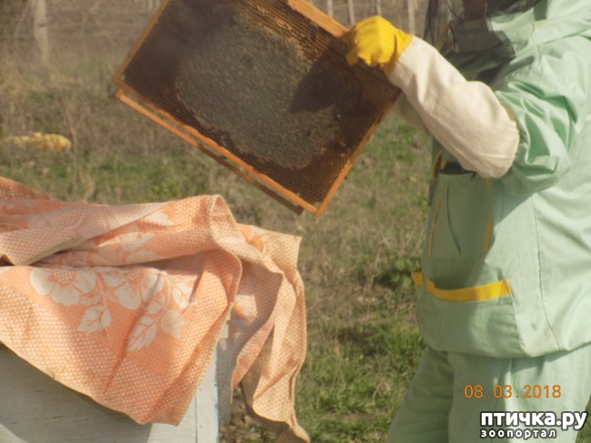 ���� 8: ��� � �������� �� �������...