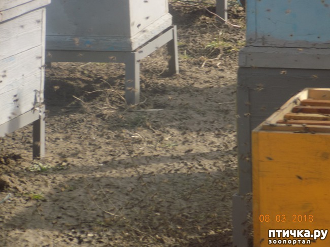 ���� 12: ��� � �������� �� �������...