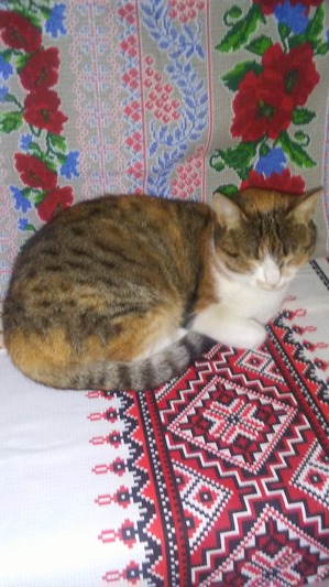 ����: ����� ������ ��� �����