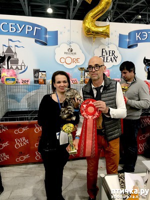 фотография: Кэтсбург 2018 фото: Кэтсбург 2018