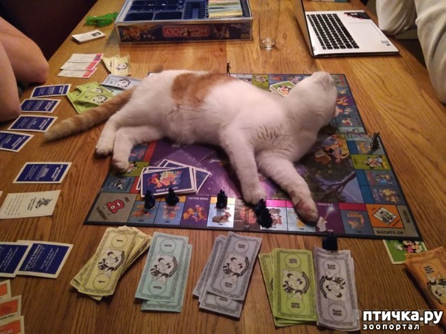 ���� 9: �������� ����������! ����� � �� ������ ������