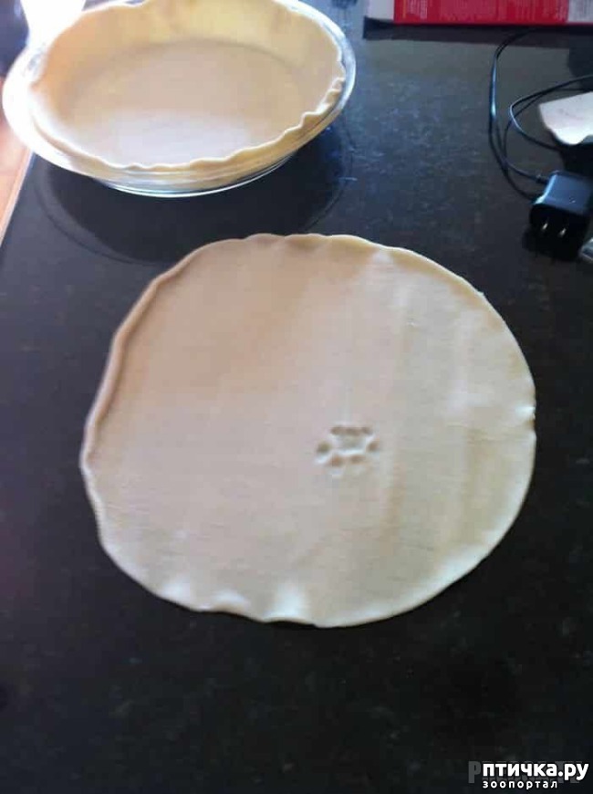 ���� 10: �������� ����������! ����� � �� ������ ������