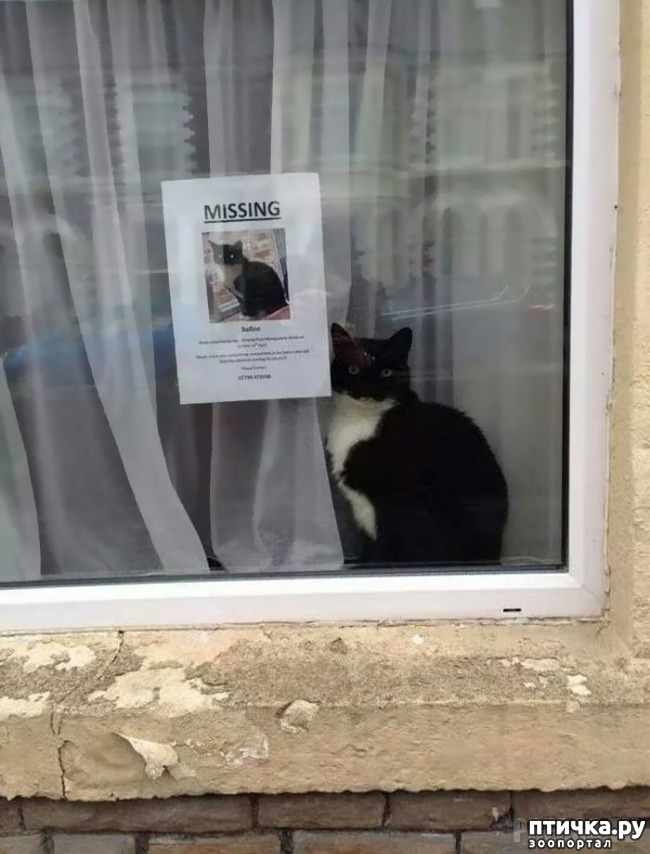 ���� 11: �������� ����������! ����� � �� ������ ������