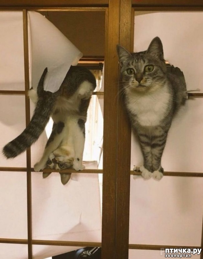 ���� 12: �������� ����������! ����� � �� ������ ������