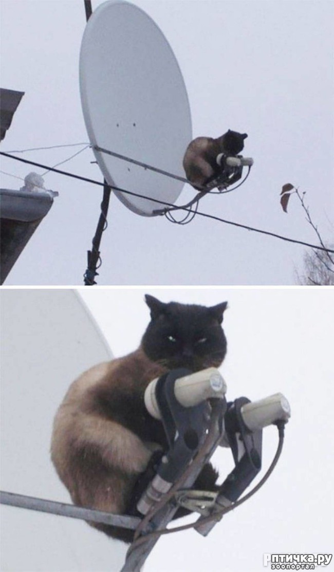 ���� 14: �������� ����������! ����� � �� ������ ������