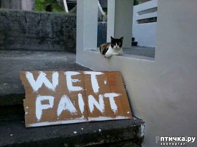 ���� 15: �������� ����������! ����� � �� ������ ������