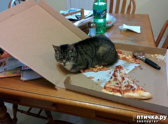 ���� 16: �������� ����������! ����� � �� ������ ������