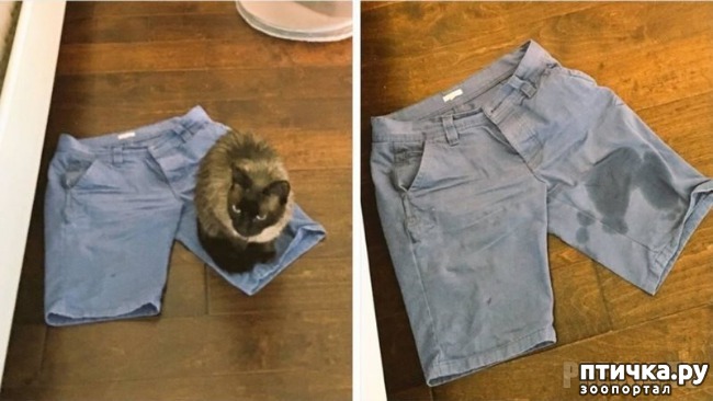 ���� 17: �������� ����������! ����� � �� ������ ������