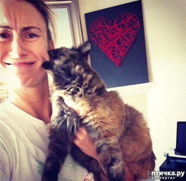 ���� 20: �������� ����������! ����� � �� ������ ������