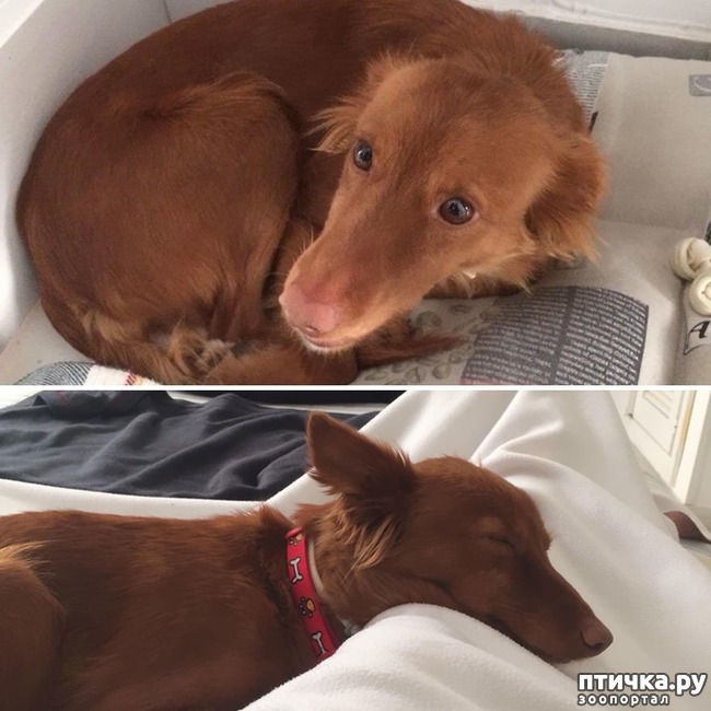 ���� 3: ������ �� ������: ������ �� � �����. ������� ���, ������������� ����!